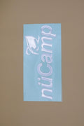 NetSuite File ID 900699