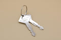 NetSuite File ID 900801