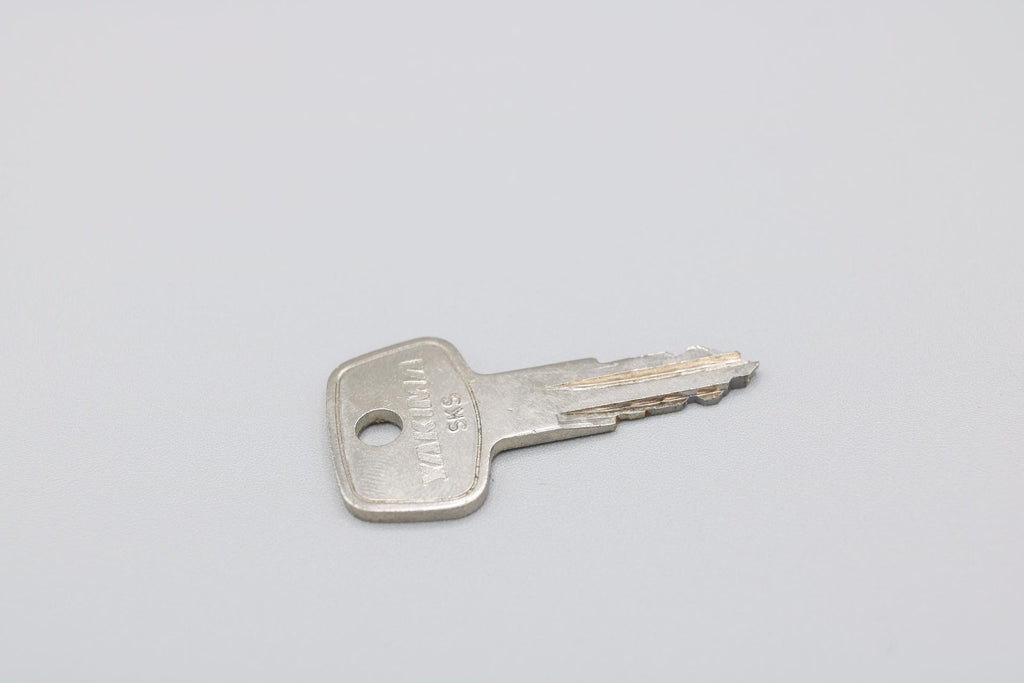 NetSuite File ID 900968