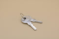 NetSuite File ID 901000