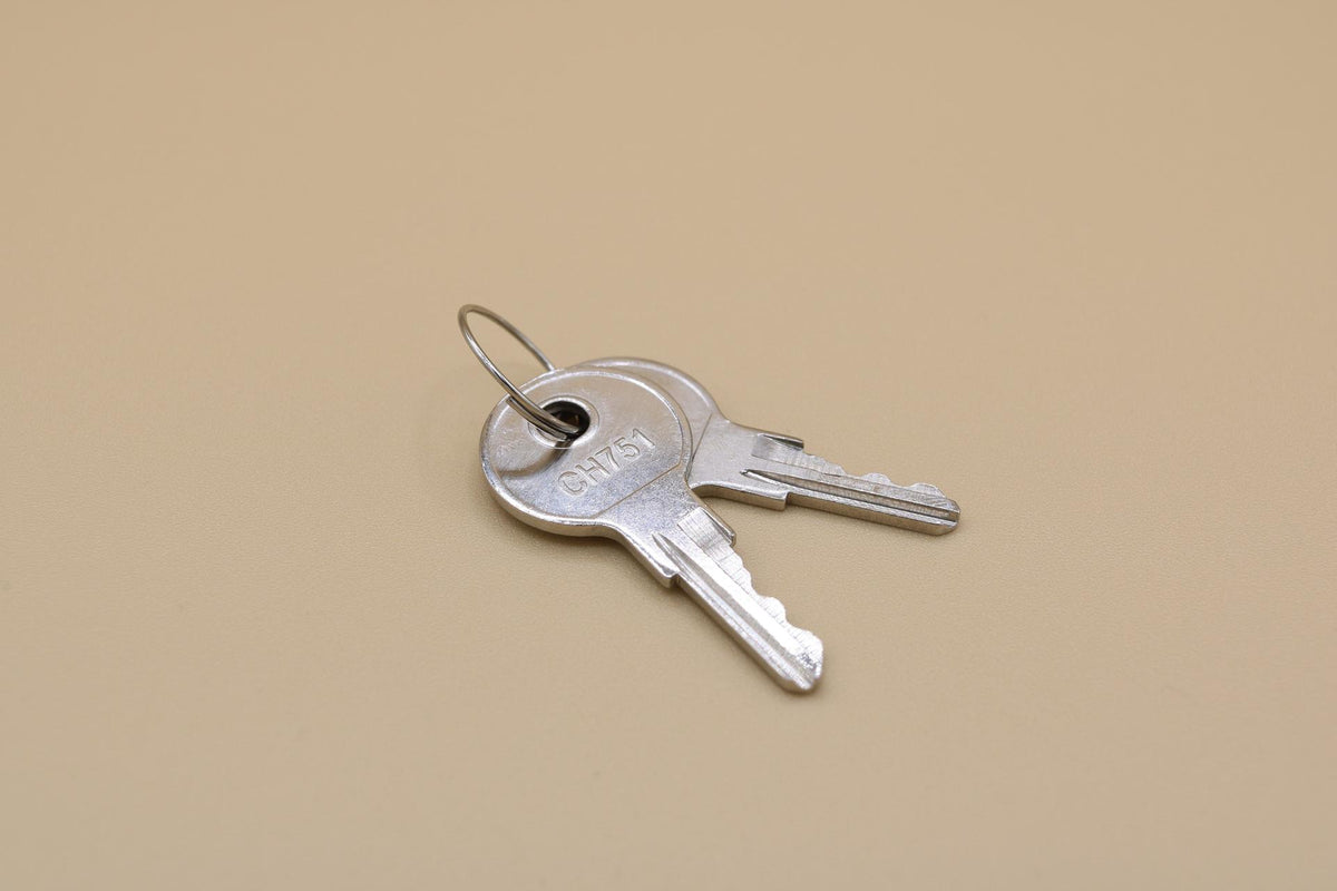 NetSuite File ID 901000