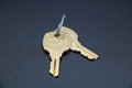 NetSuite File ID 901149